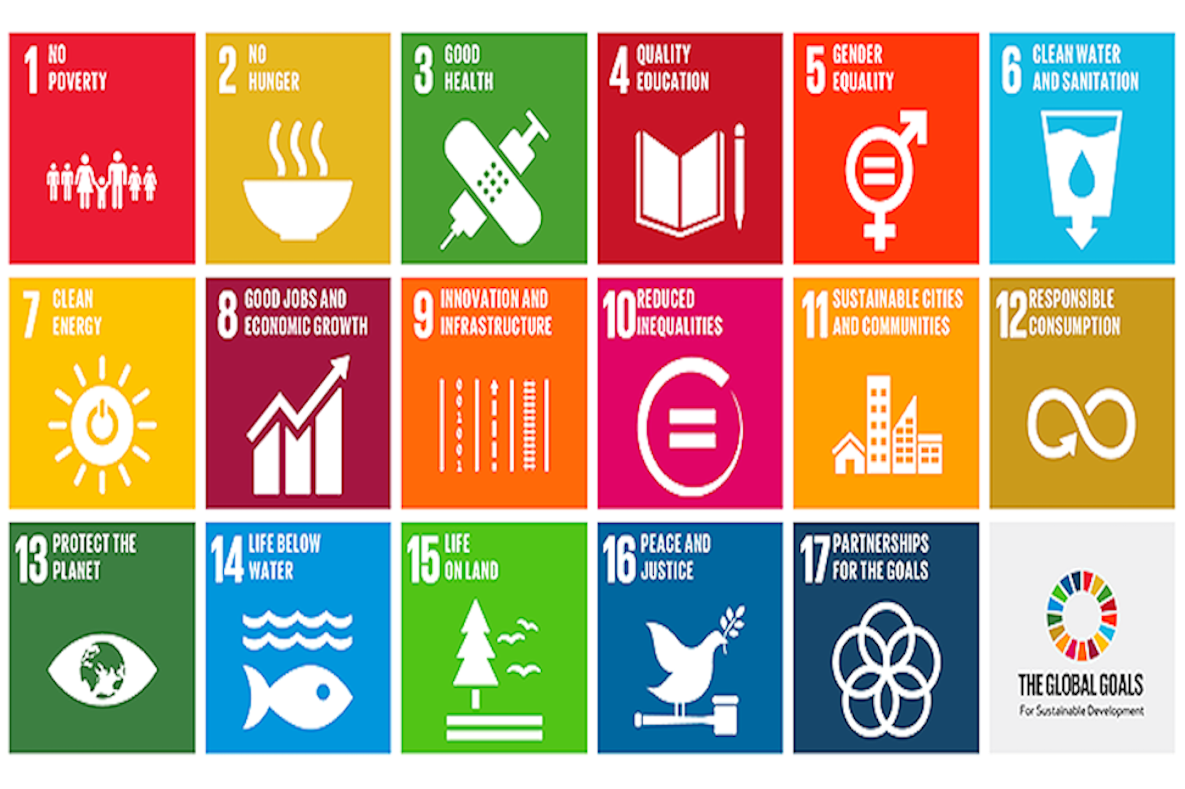 Governing SDG Interactions Project