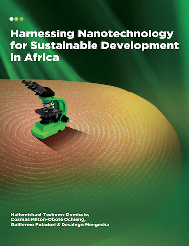 Harnessing Nanotechnology for Sustainable Development in Africa 